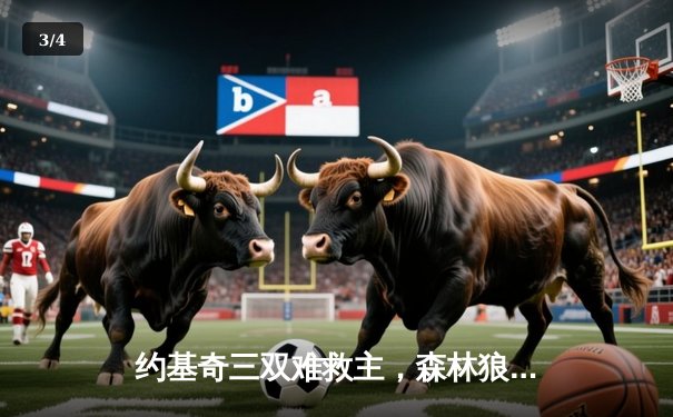 约基奇三双难救主，森林狼抢七胜掘金挺进西决 - 3